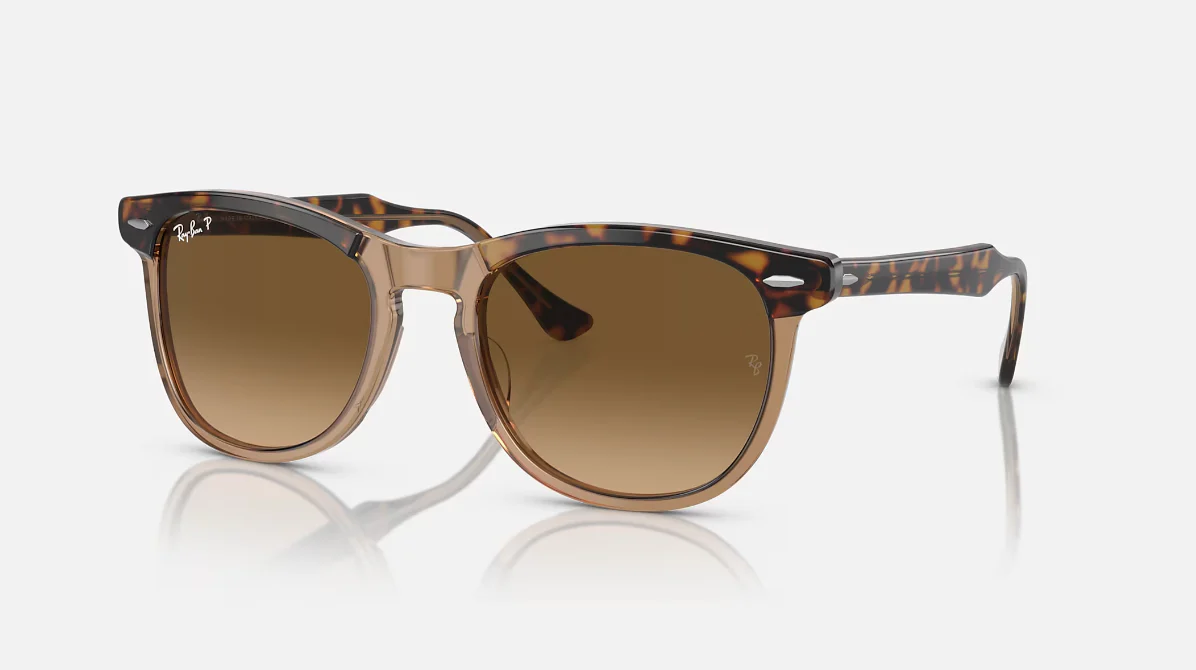 Ray Ban Eagleeye Havana Sunglasses - Image 2